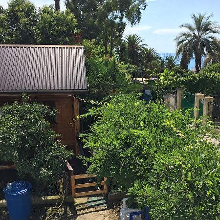 Guest House Nana Gagra Dış mekan fotoğraf