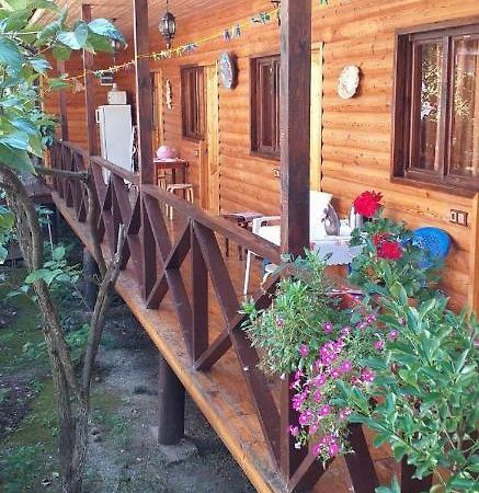 Guest House Nana Gagra Dış mekan fotoğraf