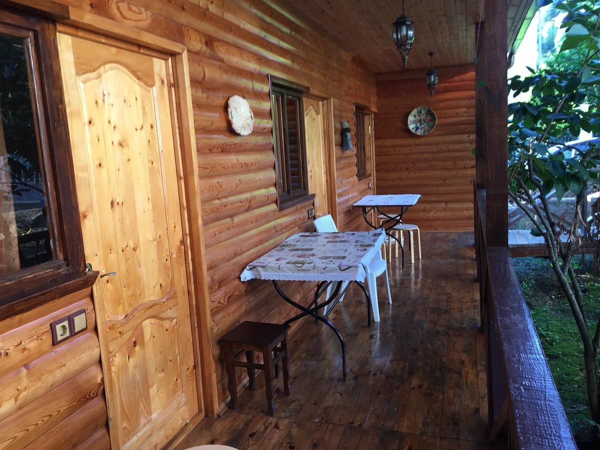Guest House Nana Gagra Dış mekan fotoğraf