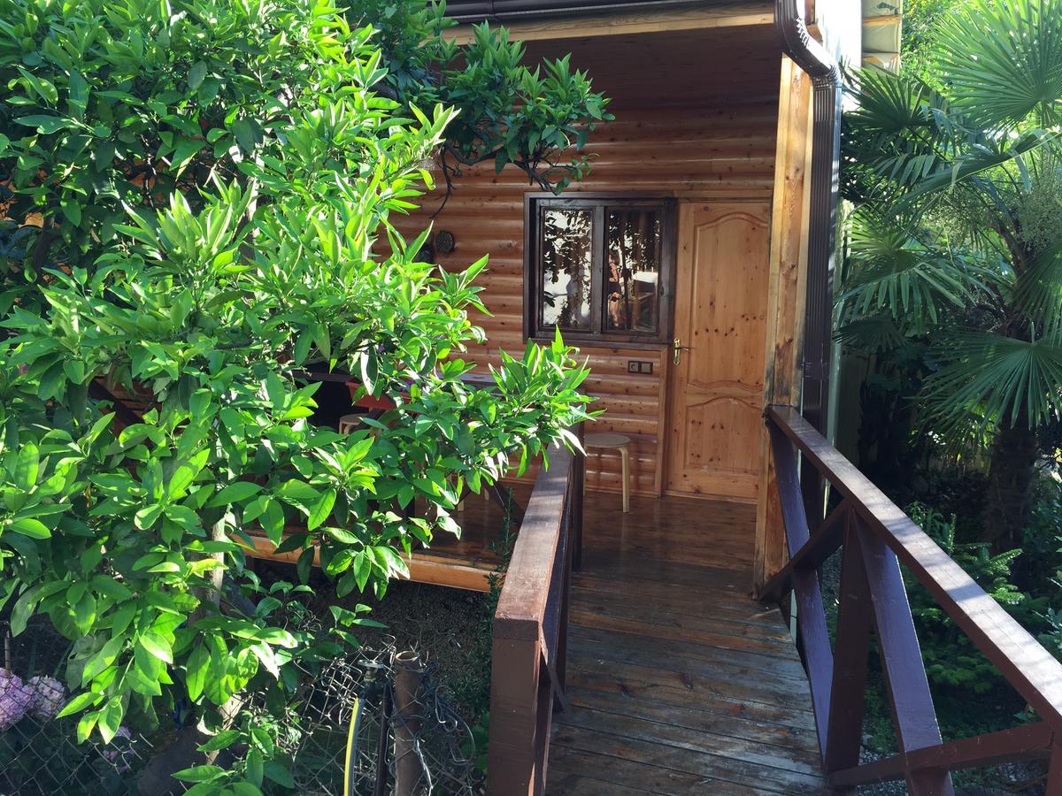 Guest House Nana Gagra Dış mekan fotoğraf