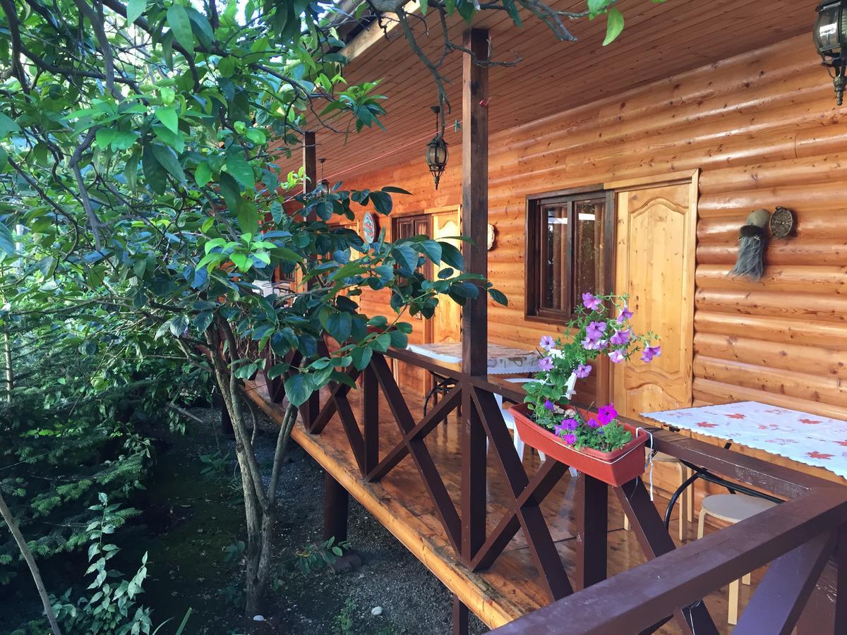 Guest House Nana Gagra Dış mekan fotoğraf