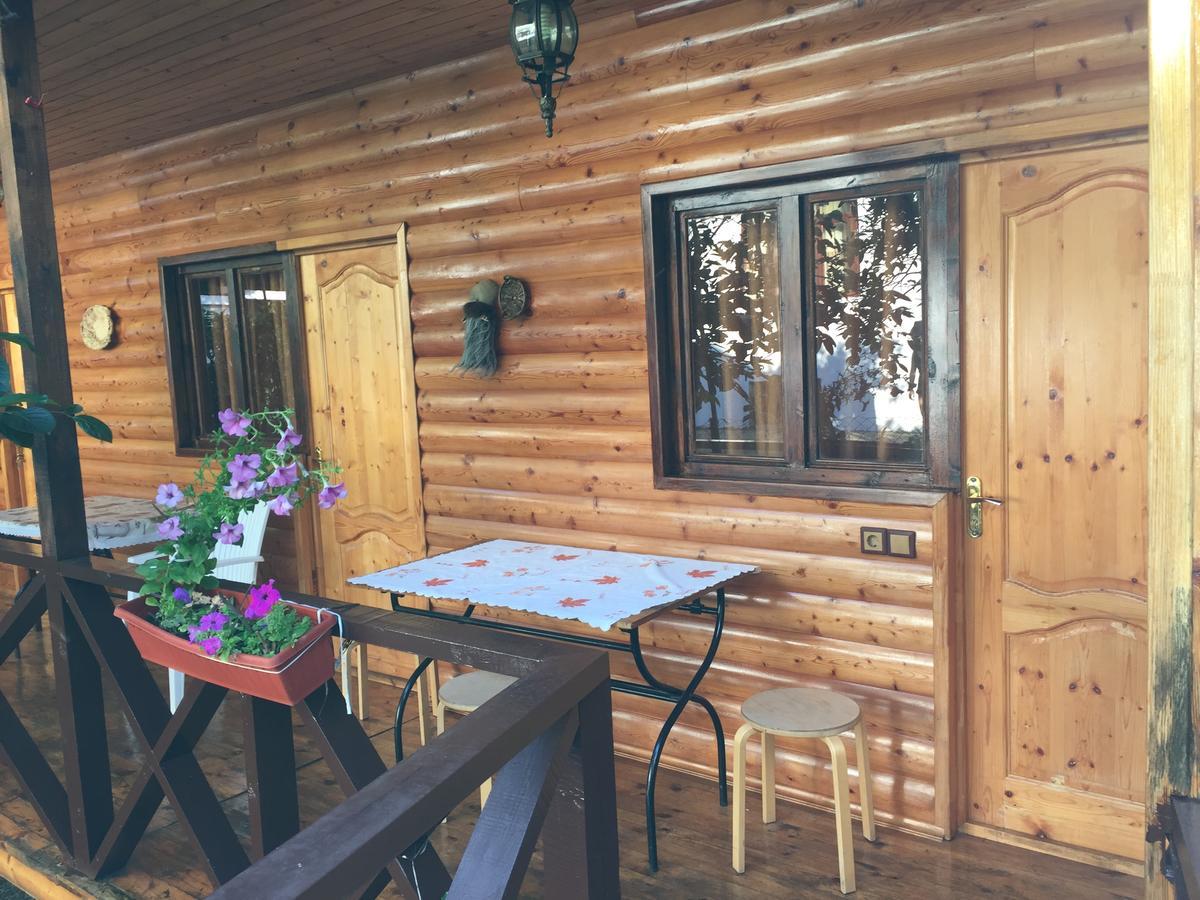 Guest House Nana Gagra Dış mekan fotoğraf