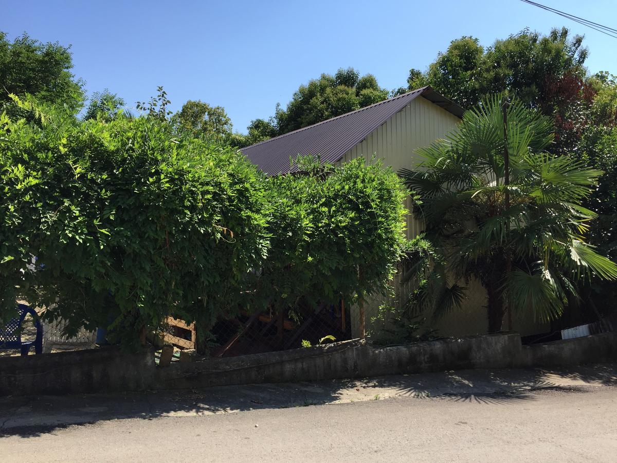 Guest House Nana Gagra Dış mekan fotoğraf