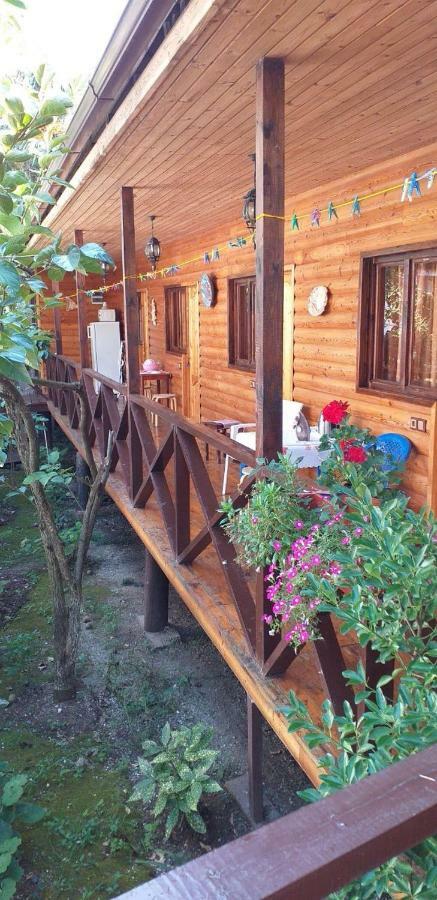 Guest House Nana Gagra Dış mekan fotoğraf